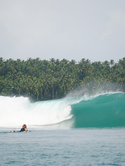 paddle-training-jason