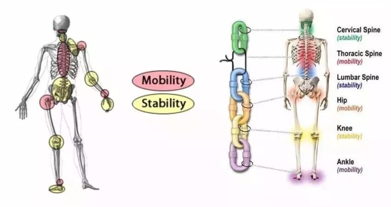 improve your surf flexibility joint by joint improve your surf flexibility joint by joint