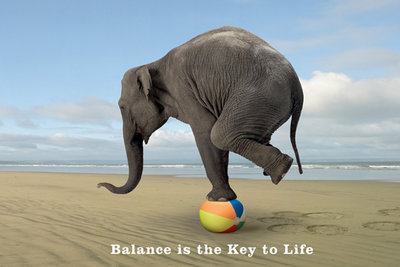 elephant doing balance on ball