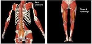 Surfer Back Training