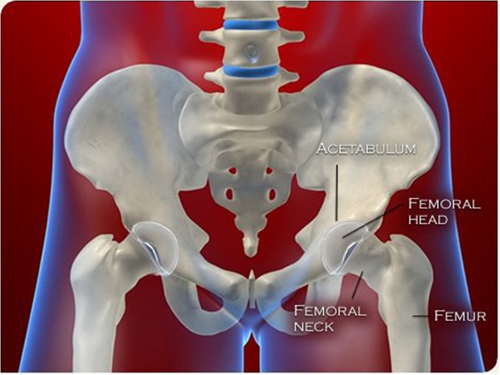 MOVE YOUR HIPS – HIP MOBILITY DRILLS | Surf Strength Coach