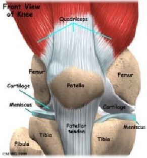 Get Rid of Knee Pain | Surf Strength Coach