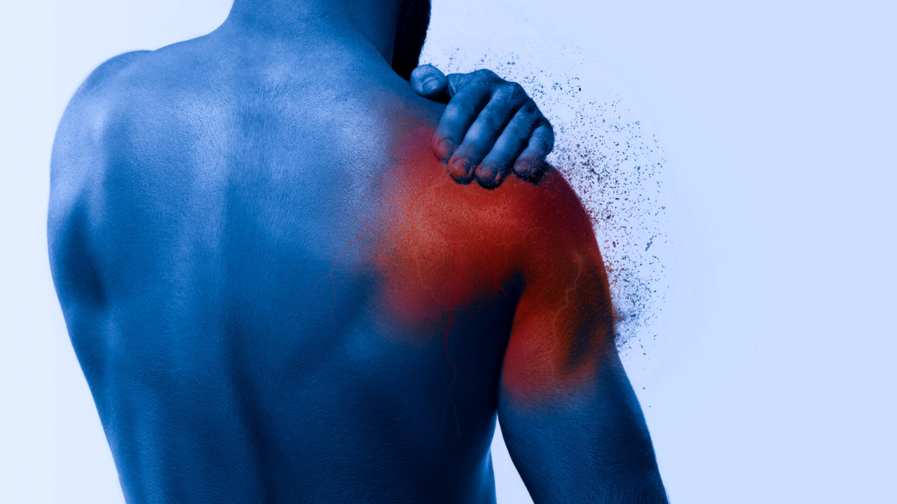 Blog The Journey to Better Surfing Surf Strength Coach