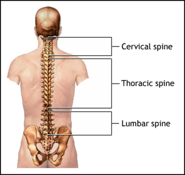 Surfers Shoulders – Thoracic Spine Mobility | Surf Strength Coach